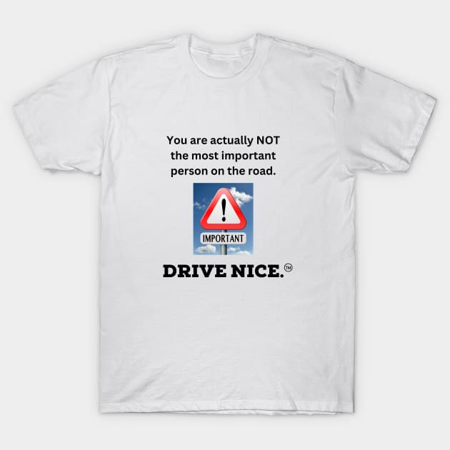 Drive nice, most important T-Shirt by TraciJ